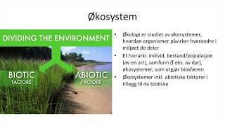 Naturfag  Økologi økosystemer og bærekraftig utvikling [upl. by Otsirave]