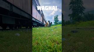 Waghai Gujarat heritagetrain travel waghai gujarattourism incredibleindia [upl. by Ardy]