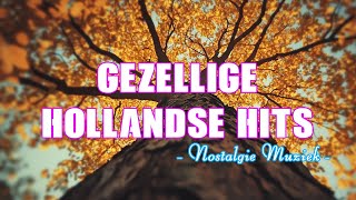 Populaire Muziek 🍃 Gezellige Hollandse Hits 🍃 Nostalgie Nederlandse Muziek [upl. by Beedon69]