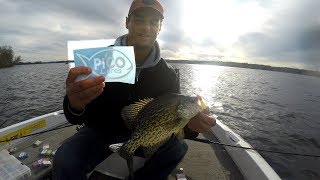 Crappie Fishing with NEW Tubes  Pico Lures  How to tie a LOOP Knot [upl. by Jessa547]