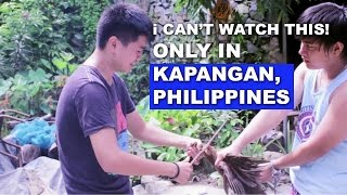 Kapangan The Secret of Benguet Documentary FILM FULL [upl. by Maharg]