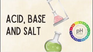 Acids Bases and Salts Explained [upl. by Aninat]