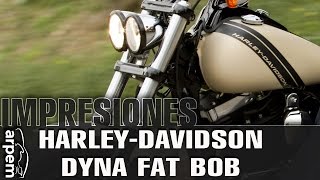 HarleyDavidson Dyna Fat Bob  2014  español  videoprueba [upl. by Aisital]