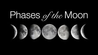 Phases and Motions of the Moon [upl. by Schultz]