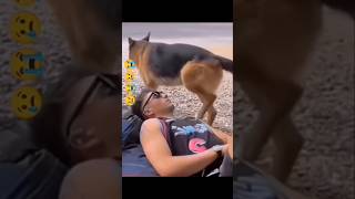 Amazing funny video🤣🤣trending youtubeshortsviralvideo funnyfunnyvideo facebook funny funny [upl. by Yecnuahc443]