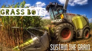 Grassboys  Sustain the Grain Gavins Ltd Maize silage season New Zealand Waikato [upl. by Hankins]