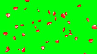 Realistic Hearts Falling Green Screen Animation HD video [upl. by Toh]