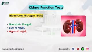 How to check Lab Test report doctor health ruralhealthcare healthawareness hospital lab [upl. by Faires]