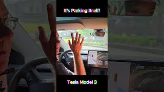 Its Parking Itself Trying out the Tesla Model 3s Autopark Feature [upl. by Annaitat]