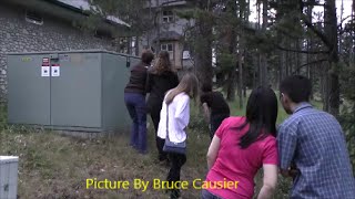 Large Bull Elk In Town Of Banff [upl. by Adnarahs]