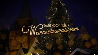 WARENDORFER WEIHNACHTSWÄLDCHEN 2024  Warendorf  kluckkola StadtWarendorf1 [upl. by Hodosh]