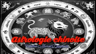 Astrologie chinoise [upl. by Yenolem492]