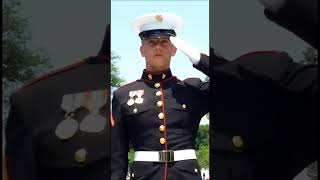 Injured Marine Holds Salute for Three Hours Then bikers suddenly appear during Memorial Day [upl. by Annaegroeg]