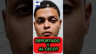 Deportado y al Cecot bukele elsalvador nayibbukele cecot shortvideo plancontrolterritorial [upl. by Abba862]