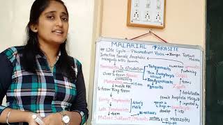 Malarial Parasite morphology Life cycle in hindi Pathogenesis in hindi Lab diagnosis [upl. by Doughty]