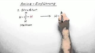 317 Amine  Einführung GK  Chemie  Organische Chemie [upl. by Bunting]