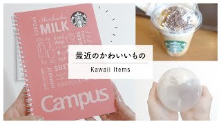 最近見つけた”かわいい”もの｜Campus × Starbucks ノート｜巨大なガチャガチャ｜ドライフラワー [upl. by Takeo]