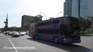 Van Hool TD925 de Megabus au CentreVille de Montréal [upl. by Wescott]