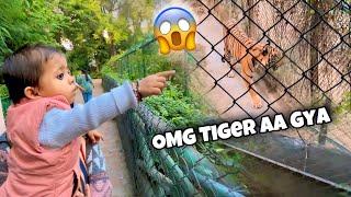 Tiger Dekha Humne 😱 OMG । Vlog 10 [upl. by Kinchen]