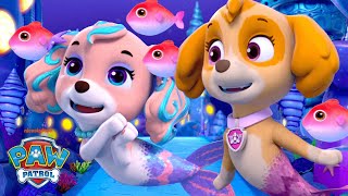 Skye Meets Her Mermaid Cousin Coral in Puplantis w PAW Patrol Zuma amp Chase  Shimmer and Shine [upl. by Anialem]