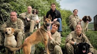 The Bond Between Soldiers and Dogs of War [upl. by Kafka403]