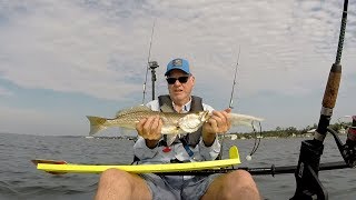 Intracoastal 21 inch Speckled Trout [upl. by Now]