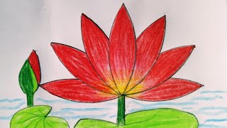 How to draw waterlily step by stepvery easyসহজে শাপলা ফুল আকাঁ  drawing Waterlily [upl. by Lela]