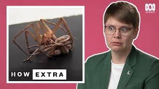 Why Sex Kills Spider Mating  REACTION  How Extra Love Edition  ABC Science [upl. by Prisca]