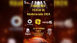 TORNEO BSR FIESTAS DE GUADALAJARA  CDILUNION VS AMIABALBACETE  BSR WHEELCHAIR 2024 SPORTS [upl. by Aimas]