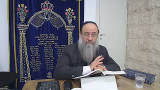 Halaha Hilhot Deote Chap1 h8 Rav Elie Perez [upl. by Vinita871]