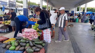 FEIRA de Carnaubal Ceará dia 08032024 [upl. by Ymmat764]