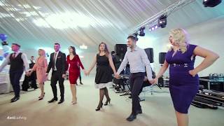 LIVE BOTEZ 2018 Olguta Berbec Remus Novac si formatia Banat Express [upl. by Buschi]