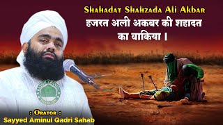 Shehzade Ali Akbar Ki Shahadat Ka Waqia  Full Waqia  Sayyed Aminul Qadri Sahab [upl. by Avlem]