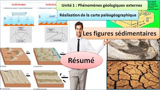 Résumé du cours  les Figures sédimentaires svt 1 Bac sciences mathématiques BIOF [upl. by Kurman291]