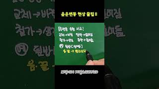 등교할 때 잠깐 보는 문법 개념 30  음운의 변동 꿀팁2 음운의변동음운의개수도확인유형별특징으로판단하기 [upl. by Annai]