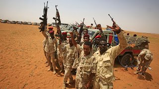 Chad UAE Israel France supply weapons used in genocide in Sudan [upl. by Kama]