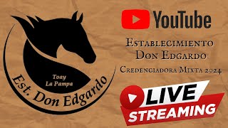 FRENO DE ORO  Credenciadora mixta quotEstablecimiento Don Edgardoquot 1° ETAPA CAT HEMBRASMACHOS PARTE 1 [upl. by Stefan2]