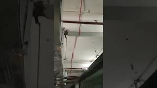 Fire alarm system cable work addressable SEWP SERVICES Pvt Ltd mahaveer Hospital sumerpur Rajasthan [upl. by Lambert379]