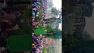 Morning Diwali video diwalispecial sarsbagdiwali morning viewsviralvideosubscribersgrow [upl. by Jaffe]