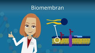 Biomembran  Aufbau und Funktion [upl. by Nertie]