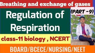 Regulation of respiration  Breathing and exchange of gas  class 11 NCERT  NEETBCECE NURSING [upl. by Nehgam]