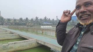 আধুনিক পদ্ধতিতে মাছ চাষ  IPRS fish farming system Chapai nobabjangu bigmoneySM [upl. by Delacourt]