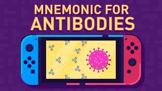 Monoclonal antibody  monoclonal antibody production using hybridoma technology [upl. by Anirtek]