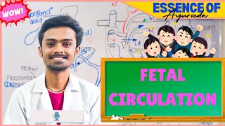 Fetal Circulation  Embryology🎯 Made Easy✅ [upl. by Keung]