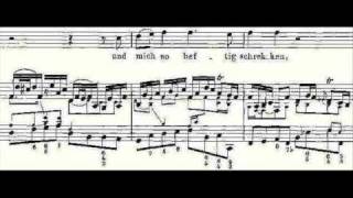 Natalie Dessay Bach Cantata BWV 199 IV quotIch dein betrüebtes Kindquot [upl. by Swetiana]