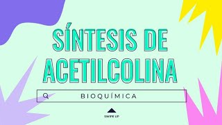 ⚡SÍNTESIS DE ACETILCOLINA💪 12  Dónde ocurre FUNCIONES Sustratos  NT [upl. by Germin197]