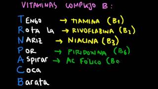 mnemonic Vitaminas Complejo B español [upl. by Seira568]