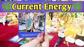 🧿🌿Current Energy amp Messages From Your Person🌿🧿 All Signs Collective Timeless Tarot Reading🌈 [upl. by Coletta]