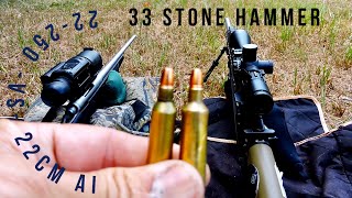 22250 vs 22 Creedmoor AI • 33 Stone Hammer [upl. by Anwahsal]