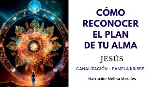 CÓMO RECONOCER EL PLAN DE TU ALMA 💖💫 Mensaje de Jeshua 🦋Canalización Pamela Kribbe [upl. by Hennessey]